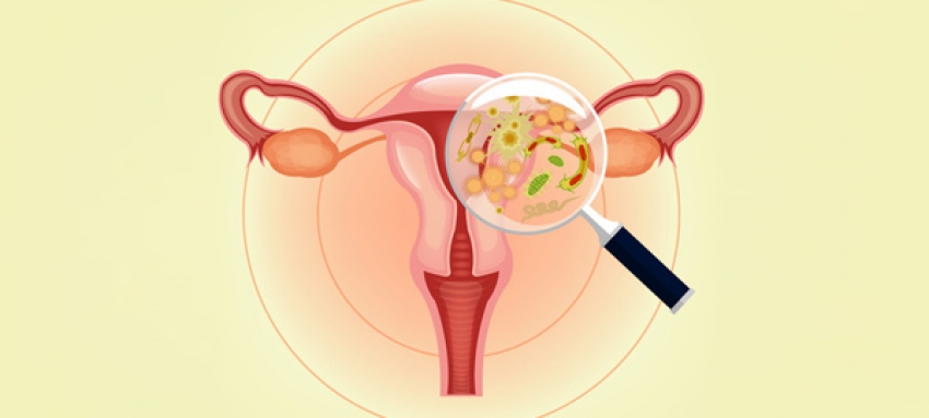 Quelles sont les pathologies gynécologiques ?